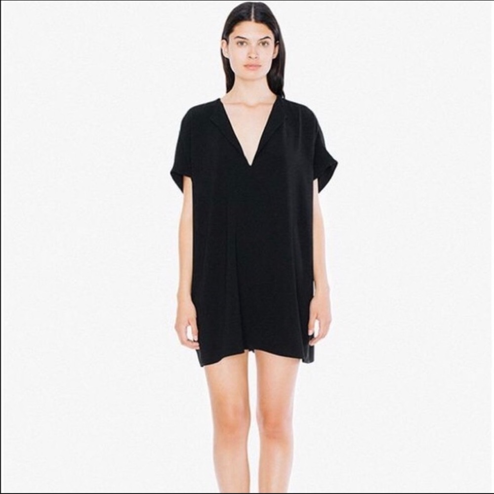 American Apparel shirt dress
